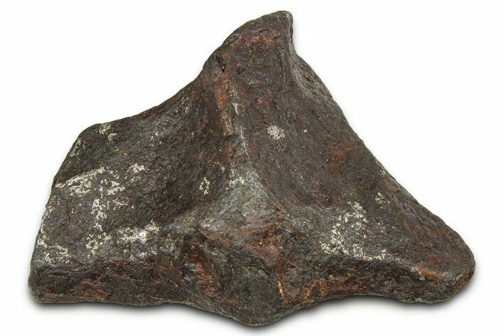 Canyon Diablo Iron Meteorite ( g) - Arizona #382006